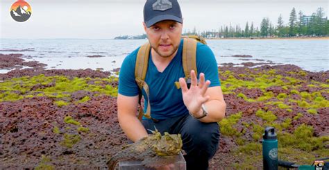 Man Purposefully Stings Himself With Highly Venomous Stonefish - borninspace