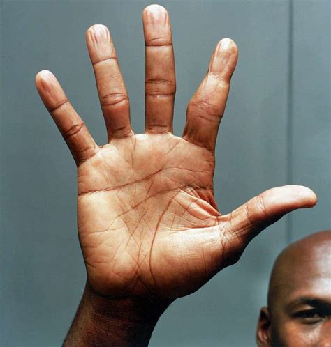 This is Michael Jordan's right hand in 2005. His index finger is just a tad messed up. | Michael ...