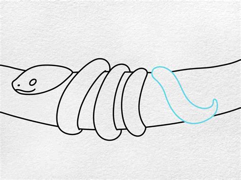 How to Draw a Corn Snake - HelloArtsy