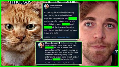 Shane Dawson RESPONDS To Cat DRAMA! - YouTube