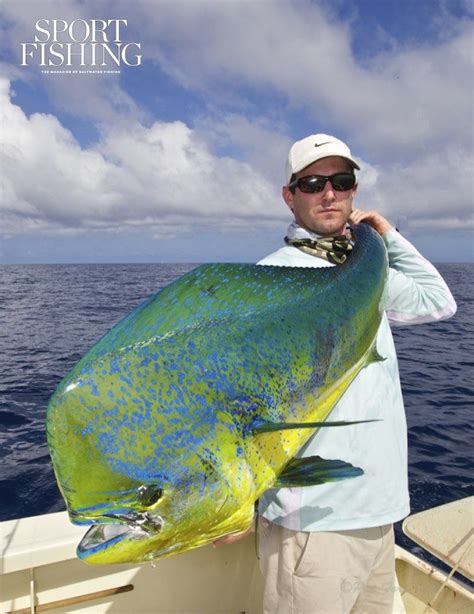 Fishing - Nice Dorado ;) | Fish, Catching fish, Saltwater fishing