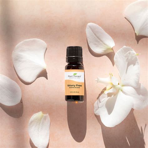 Plant Therapy Essential Oil Blends - Nature's Best Aromatherapy