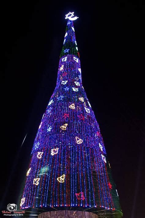 World's tallest Christmas tree - Colombo 2016 | Tall christmas trees ...