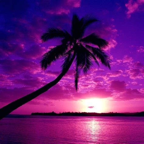 Spring into Colorful Monochromatic Photographs | Purple sunset, Beautiful nature, Beautiful sunset