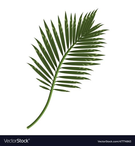 Palm branch Royalty Free Vector Image - VectorStock