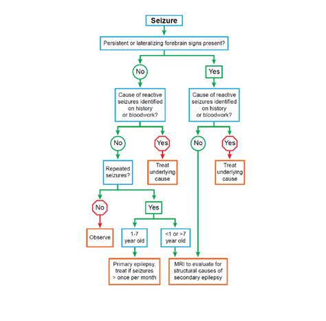 Seizure Disorder Concept Map