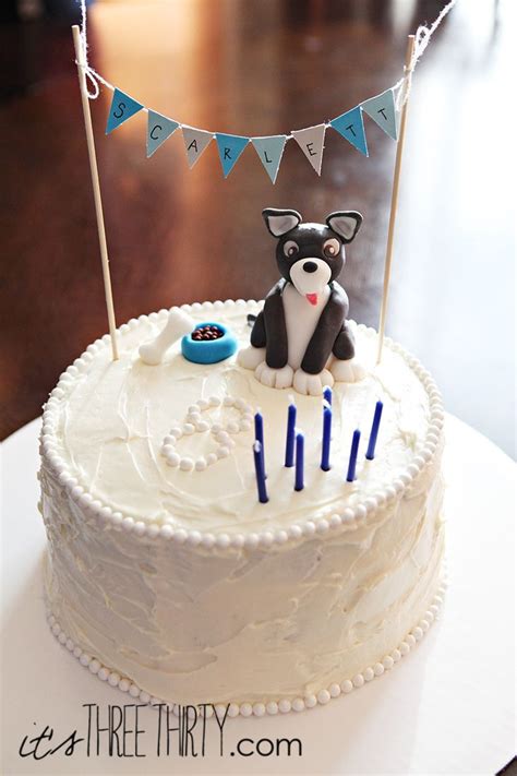 puppy cake.20 Best Birthday Cake Near Me