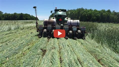 Roller Crimper No-Till Corn Planting -- CV Crop Soil Pasture