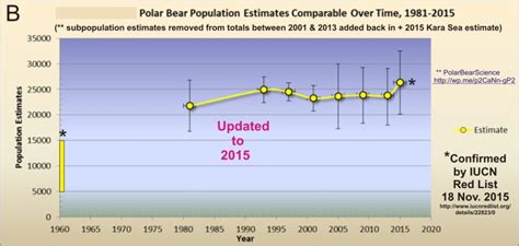 polar bear facts | polarbearscience