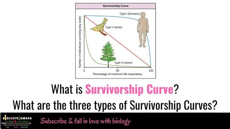 What is Survivorship curve? 3 types of Survivorship curves with ...