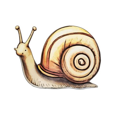 Premium Vector | Snail watercolor vector illustration