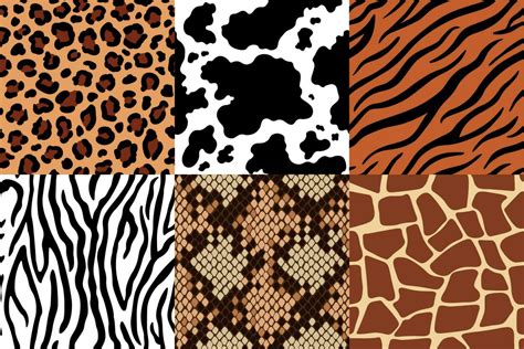 Animal skins pattern. Leopard leather, fabric zebra and tiger skin ...