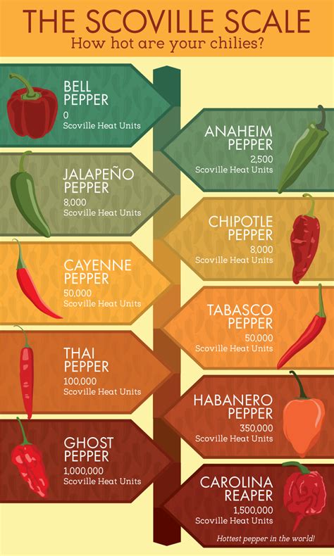 Everything You Need To Know To Grow Your Own Chili Peppers | Stuffed ...