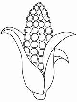 Corn Stalk coloring Page  ColouringPages sketch template