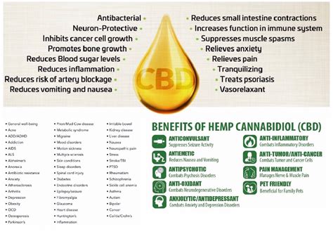 Benefits of Hemp Oil - kingdomkeysministry - Medium