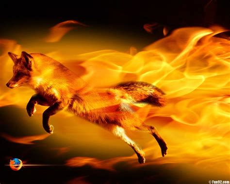 Cool Fox Wallpapers on WallpaperDog