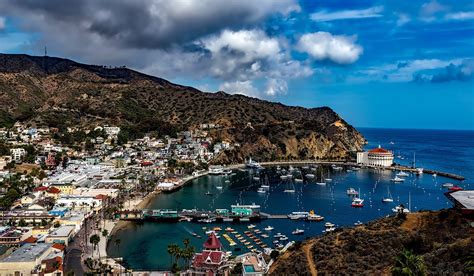 A Perfect Catalina Island Day Trip - the Ultimate Guide | Catalina island, Cool places to visit ...