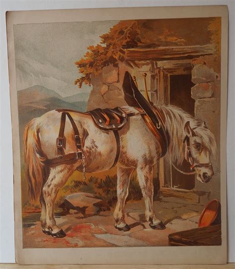 Draft Horse in Harness Antique Lithograph 1872 John Herring Horse Art ...