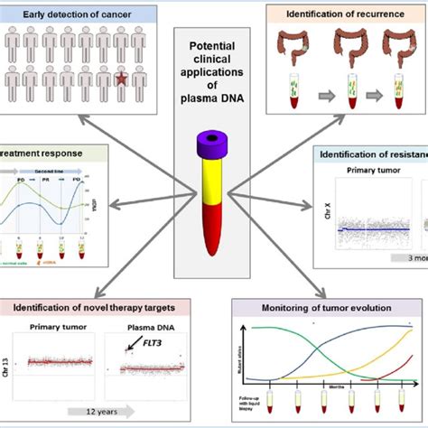 (PDF) Advances in Circulating Tumor DNA Analysis