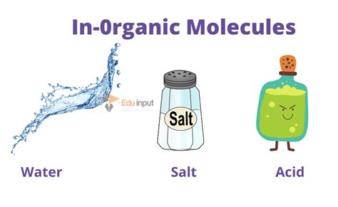 What is Biochemistry-history, scope, Types, applications