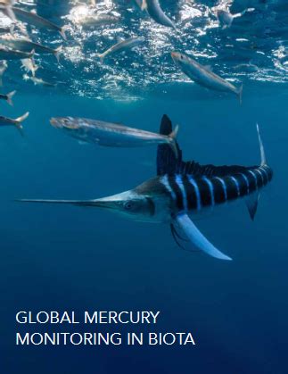 Global mercury monitoring in biota | Global Mercury Partnership