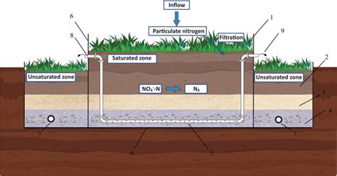 The structure of the biphasic bioretention system. (1) Plants, (2) soil... | Download Scientific ...