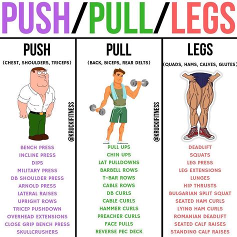 Krucki Fitness on Instagram: “PUSH/PULL/LEGS by @kruckifitness - If you are doing a push/pull ...