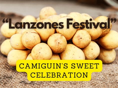 Lanzones Festival: Camiguin’s Sweet Celebration - HICAPS