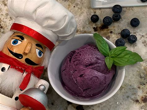 Homemade Blueberry Ice Cream - Mincoff Café