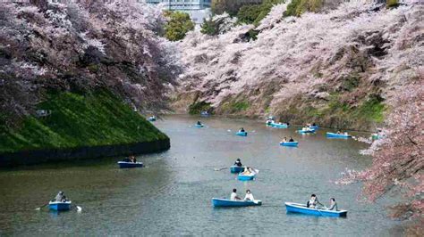 Best Time to Visit Tokyo - Howcast