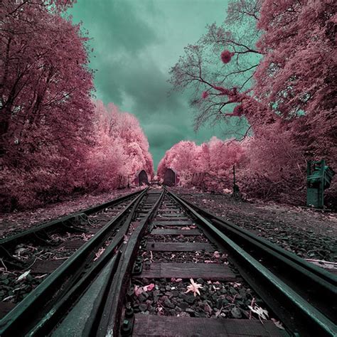 Fantastical infrared photography | WDD