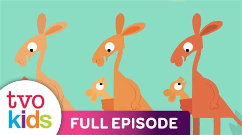 ANIMANIMALS - Kangaroo - Full Episode - YouTube