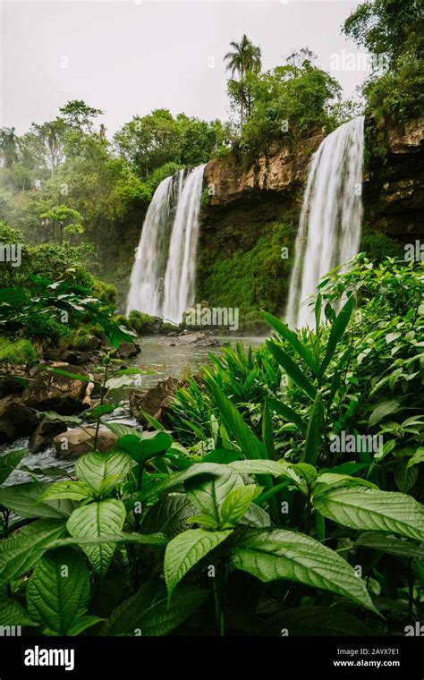 Iguazu Falls, Argentina Stock Photo - Alamy