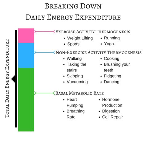 Non-Exercise Activity Thermogenesis - Maui Athletics