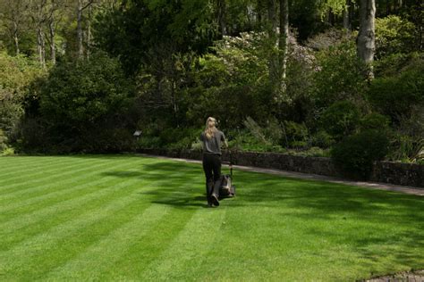 Get Stylish Striped Patterns With the Best Lawn Mower For Stripes