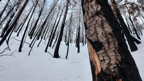 Images show backcountry avalanche site where crews rescued solo