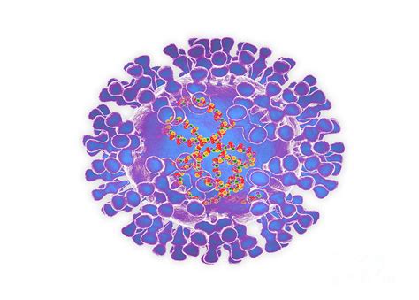 Pox Virus Photograph by Roger Harris/science Photo Library - Fine Art America