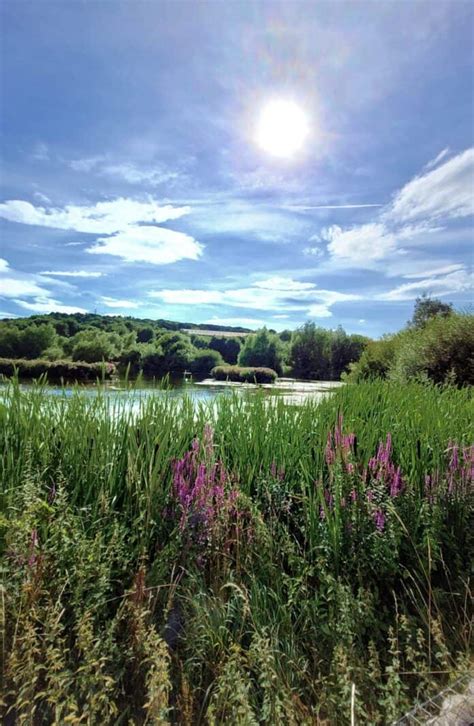 Rodley Nature Reserve nominated for prestigious award - despite 'rotten' year - West Leeds Dispatch