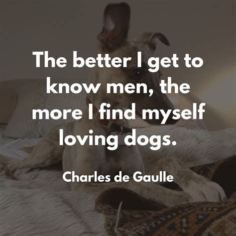 56 Dog Quotes for Instagram... or for Wherever, Actually!