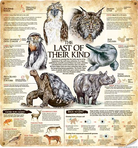 http://brandlessblog.com/category/animals-infographics/ | Endangered animals, Extinct animals ...