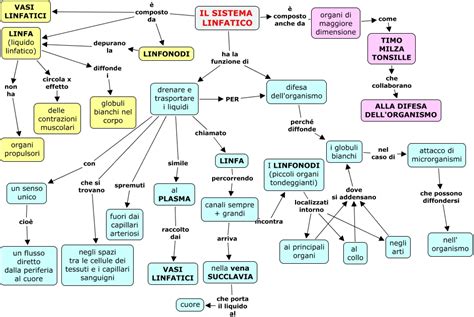 SISTEMA LINFATICO
