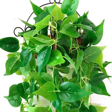 1 Pc Artificial Plants Vines Greenery Rattan Fake Hanging Plant Faux Hanging Flowers Vine for ...