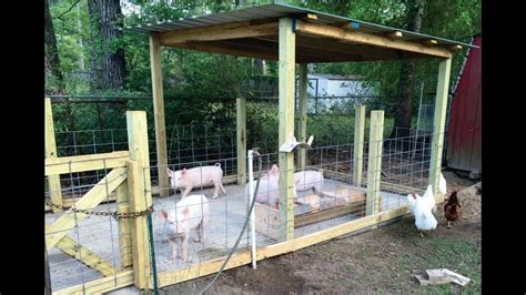 DIY pig pen 7 ways how | Pig pen, Pig farming, Raising pigs