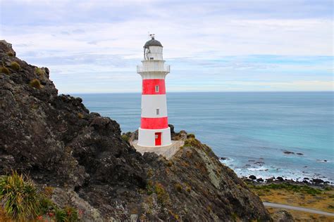 Cape Palliser lighthouse, east coast, North Island, New Zealand. | Light up my life. | Pinterest ...