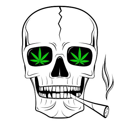 Skull Illustration Smoking Weed Stock Illustration - Download Image Now - iStock