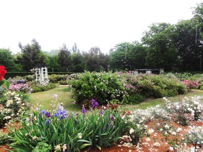 Old Parliament House Gardens