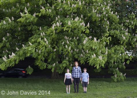 John Davies documentary landscape photography & art