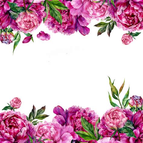 Purple Floral Border Transparent Image