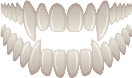 Download Vampire Teeth Png Images Background Fang PNG Image, 56% OFF