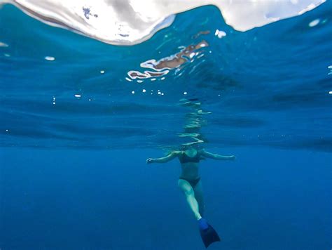 The Best Way to Snorkel Molokini Crater · Cassie's Compass